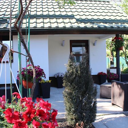 Casuta Artistilor Villa Breaza  Exteriör bild