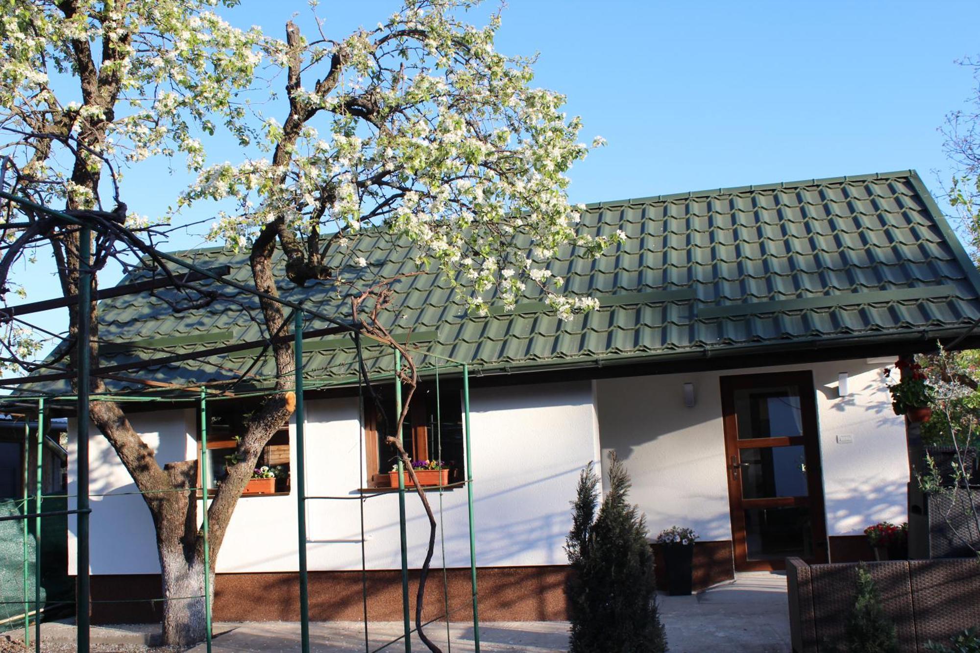 Casuta Artistilor Villa Breaza  Exteriör bild