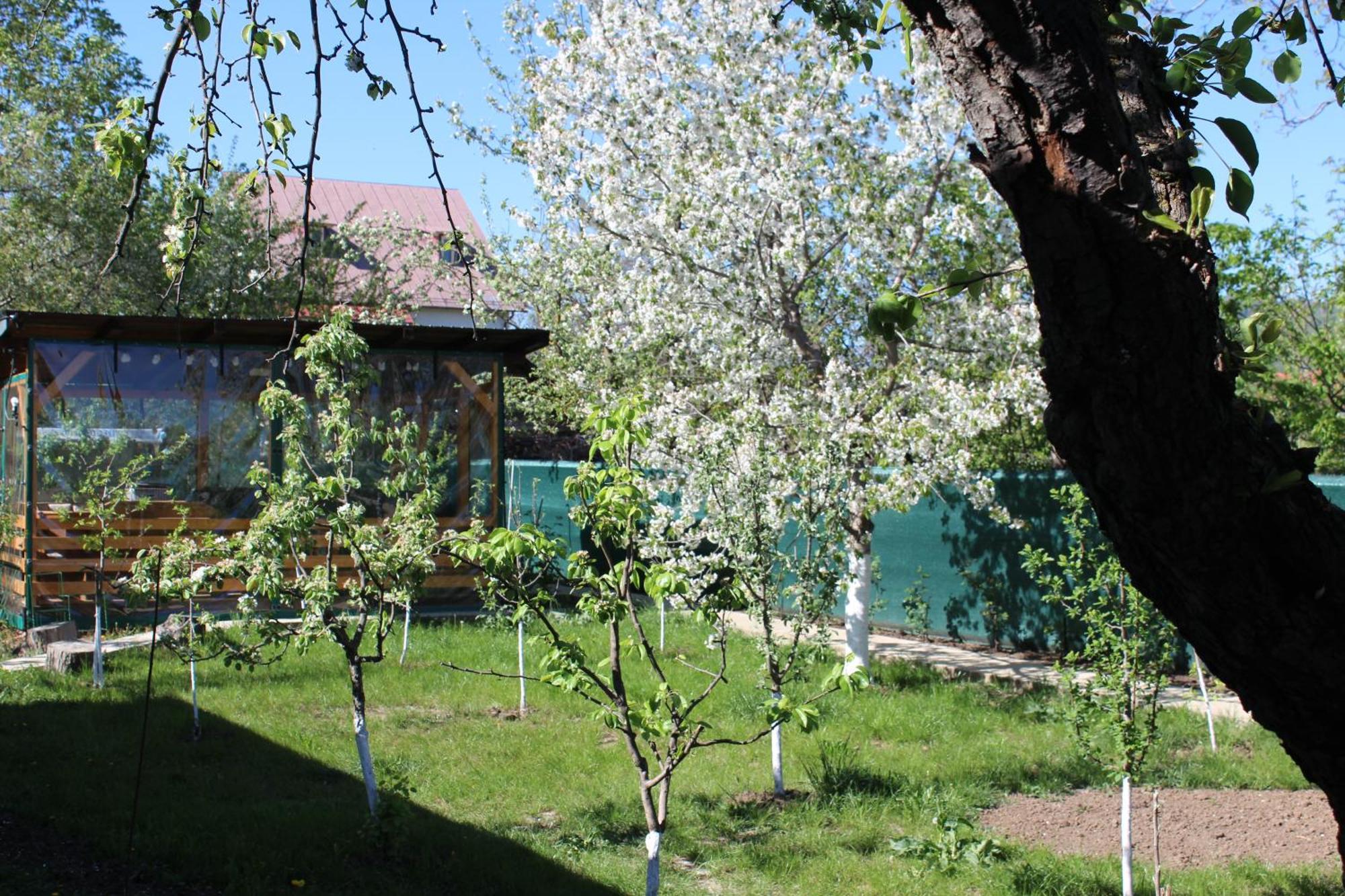 Casuta Artistilor Villa Breaza  Exteriör bild