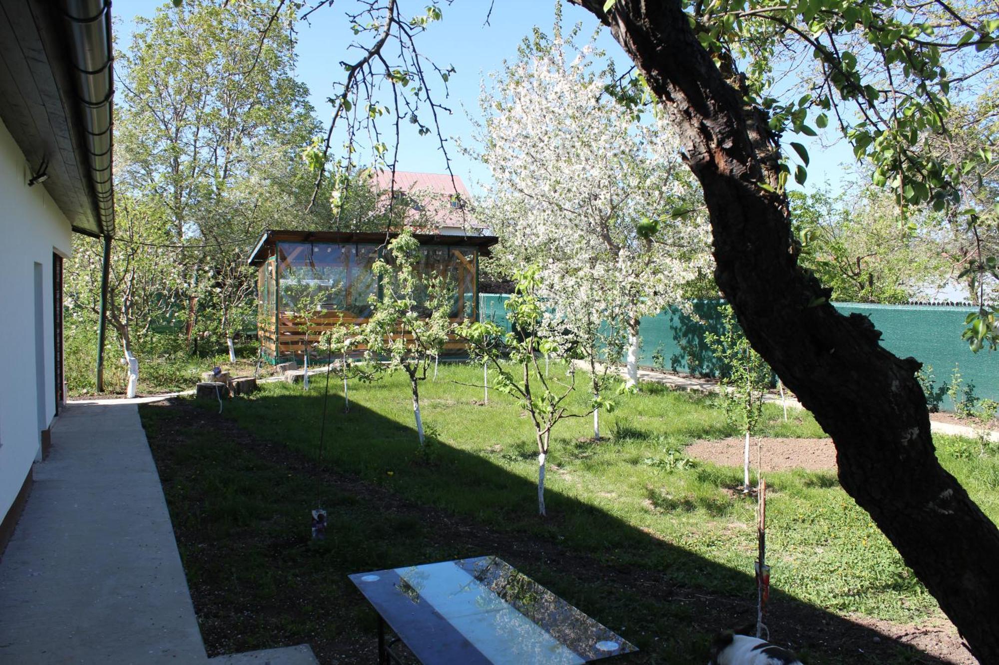 Casuta Artistilor Villa Breaza  Exteriör bild