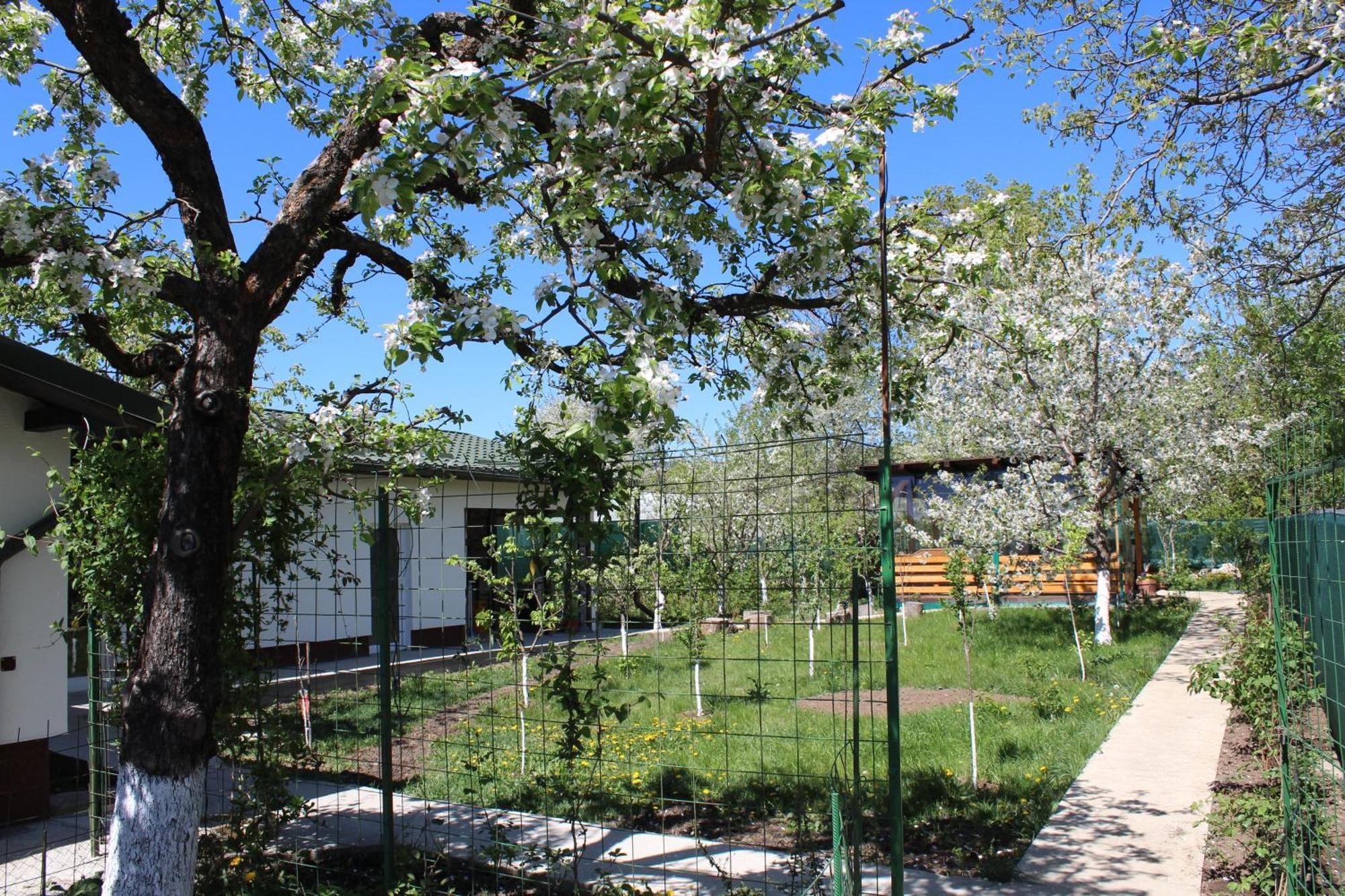 Casuta Artistilor Villa Breaza  Exteriör bild